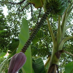 2010-10 China/Taiwan/2010:10:09-07:22:23_DSC04538.JPG